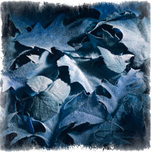 grief counseling therapy pasadena