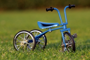 tricycle_on_the_grass_2
